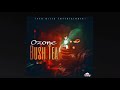 ozone03 bush tea official audio visuals october 2020