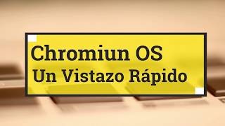 Vistazo Rapido Chromiun OS - NeverWare