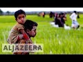 UN: Rohingya facing 'ethnic cleansing' in Myanmar