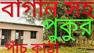 কম দামে খুবই সুন্দর একটি জায়গা সহ পুকুর বিক্রি করা হবে। A beautiful land and pond for sale.