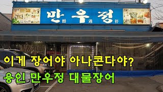 이게 장어야 아나콘다야? 역대급 대물 장어구이 [용인 만우정]