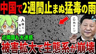 雨乞い政策が成功するも...猛毒の雨が降り止まず生態系崩壊w【ずんだもん＆ゆっくり解説】