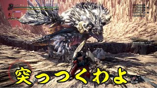 [MHW:I] ランスvs悉くを滅ぼすネルギガンテ