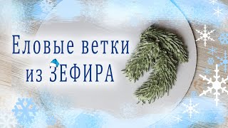 Еловые ветки из ЗЕФИРА/Fir branches from ZEPHIR/فروع التنوب من زفير