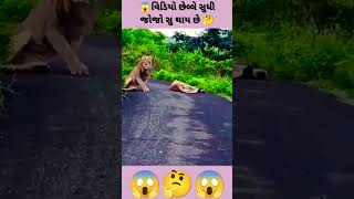 😱વિડિયો છેલ્લે સુધી જોજો સુ થાય છે 🤔😱#shorts વિડિયો લાઇક કૉમેન્ટ અને શેર 🙏🏻😔🤏🤌 plij shapot mi 🙏🏻😔