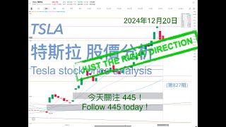 TSLA Tesla stock price trend analysis December 20, 2024 (Issue 827)