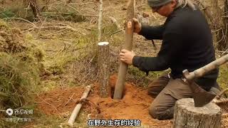 野外生存：老头在深山老林搭建木屋庇护所，用大自然苔藓铺盖！