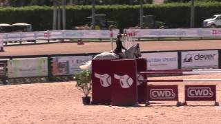 Bokito Saint Benoit 1.30m