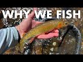 THIS Is the Key to Finding Good Creeks to Fish! (Tenkara Fly Fishing)