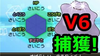 【ポケモンサンムーン】幻のＶ６メタモン！これで最強ポケモン作り放題だわｗ