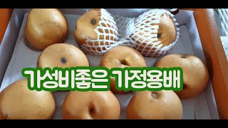 못생겨도 맛은좋아~ 가격착한 가정용 순천낙안배