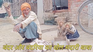 monkey comedy video Hindi story उत्तर प्रदेश फतेहपुर बंदर और बंदरिया का बहुत अच्छा खेलbandar bandari