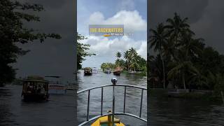 The real Kerala, The Backwaters 📍 Alleppey #kerala #shorts #houseboat #travel #photography