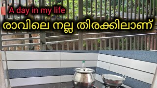 ഇതൊക്കെ നമുക്ക് സന്തോഷം #new #motivation #cleaning #food #dayinmylife