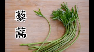 Artemisia selengensis【EN CN】藜蒿 芦蒿 蒌蒿 中国美食 #shorts