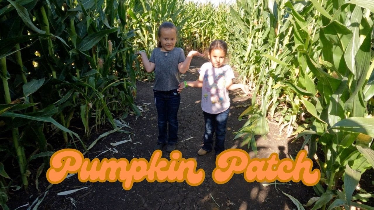 Pumpkin Patch Youtube