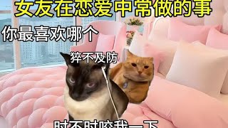 女友在恋爱中常做的事#猫咪表情包 #谁能拒绝傻憨憨的小猫咪