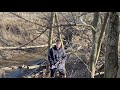 Never Fall Down movie trailer