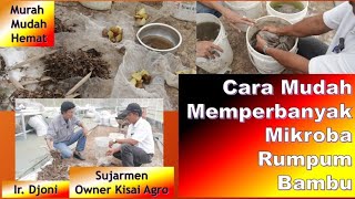 Cara Memperbanyak Mikroba Rumpun Bambu !! 24 Jam Siap Untuk Digunakan !! Sujarmen ( Part 1)