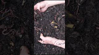 Composting Tip #194