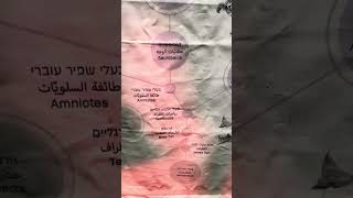 תסביר לי בדקה - ביולוגיה, אבולוציה - איך היה נראה עץ אבולוציה אם ציפורים היו מציירות אותו?