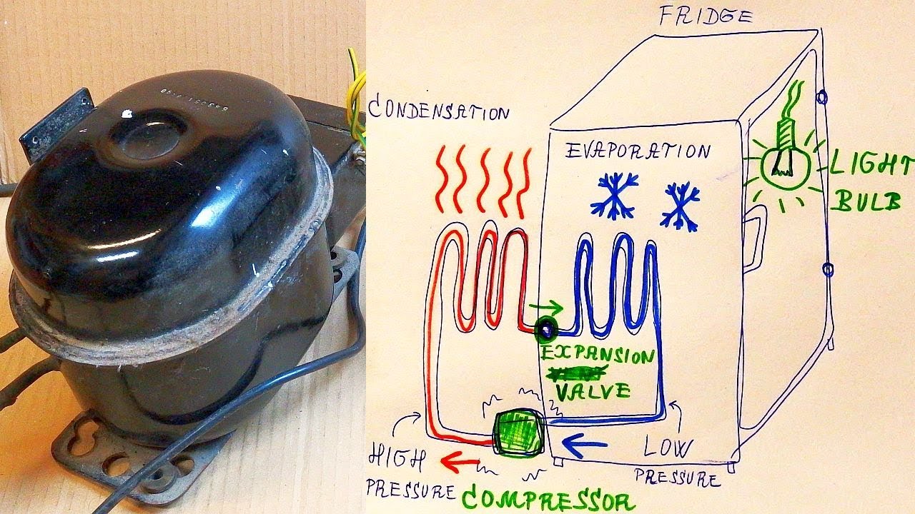 How Does A Fridge And Its Compressor Work Youtube