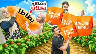 طبخنا خمس أكلات بمكون واحد!😯جبنا أكبر مشتريات من موقع  TEMU انصدمنا بالجودة