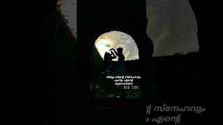 നീയും നിന്റെ സ്നേഹവും എന്നും കൂടെ വേണം ..#foryou #shorts #imissyou #lovestatus #love