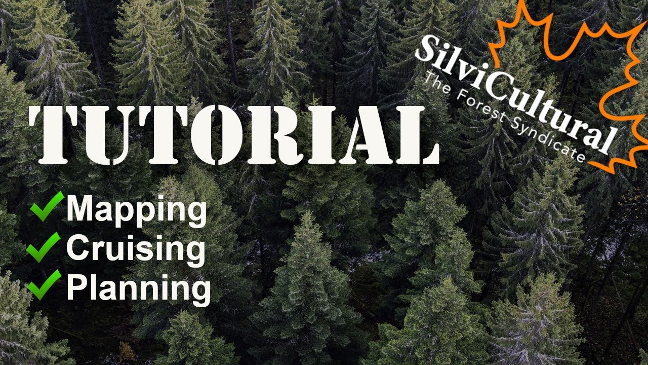 Getting Started With Silvicultural Youtube