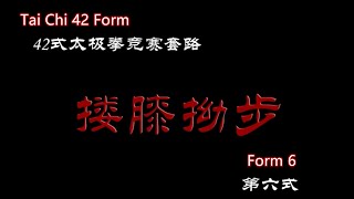 TAI CHI 42 FORM (Form 6） | 42式太极拳分解教学（第六式）搂膝拗步Brush knee and twist step on both sides