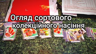 сорти Томатів 🍅🍅🍅 солодкого Перцю та Баклажанів, яків вас здивують