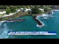 Fecal bacteria found at several beaches around Hawaii