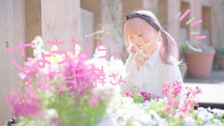 【春！】さようなら、花泥棒さん　踊ってみた【をあ】