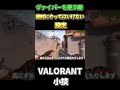 ヴァイパーでこの設定してたら終わりです【valorant】