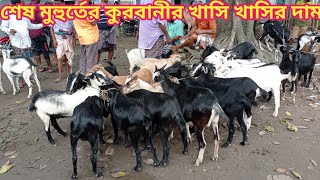 @আজ ২০ জুলাই মঙ্গলবার || বাজারের শেষ মুহুর্তে কুরবানীর খাসি ছাগলের দাম || জাদুরাণি হাট