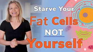 Intermittent Fasting: Starve Your Fat Cells (Not Yourself)