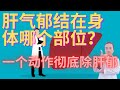 肝气郁结在身体哪里？怎样才准确知道自己肝郁了？手把手教你一个动作彻底解决肝气郁结！看一遍就会！受益终身！