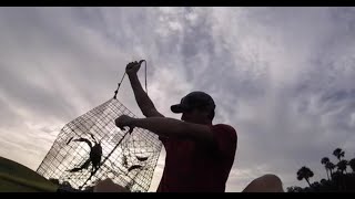 Check out how many we caught today!! South Florida Crabbing late August 2020- Treasure Coast