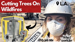 All About Working On Wildfires As A Timber Faller | Feat. My Time In L.A.