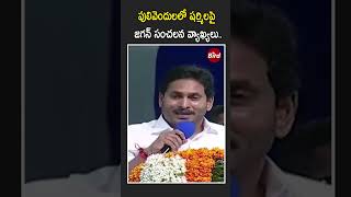 పులివెందులలో షర్మిలపై జగన్ సంచలన వ్యాఖ్యలు | YS Jagan Sensational Comments on Sharmila | Bird News