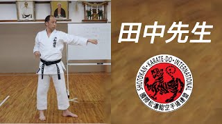 Tanaka sensei - Heian nidan at home