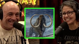 Plans to Bring Back the Woolly Mammoth and Other Extinct Animals JRE Clips 2025