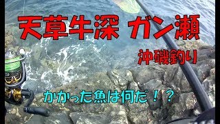 天草牛深ガン瀬にて沖磯釣り