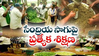 సేంద్రియ వ్యవసాయంపై ప్రత్యేక శిక్షణ | Special Training on organic farming | Gundugolanukunta