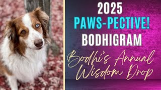 Bodhi’s Hilarious 2025 New Year Message: Wisdom, Laughs \u0026 Puppsicles!