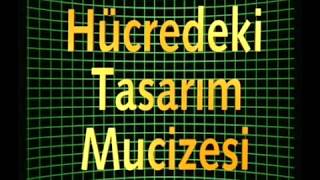 Hücredeki tasarim mucizesi DNA