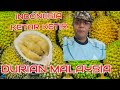 WARGA INDONESIA KAGET.. MALAYSIA ADA LADANG DURIAN DI CHINA.???...