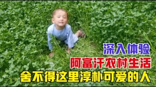 环球旅行（112）在阿富汗农村深入体验了好几天，感受着这里的温馨，很舍不得离开