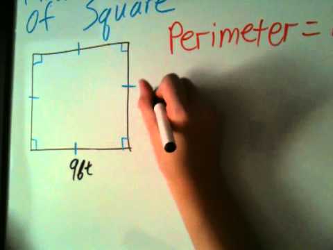 How to Find the Perimeter of Square How to Find the Perimeter of Square