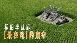 稻田與廢墟融合的絕美奇景，稻田半截廟4K｜台灣真奇廟 EP13